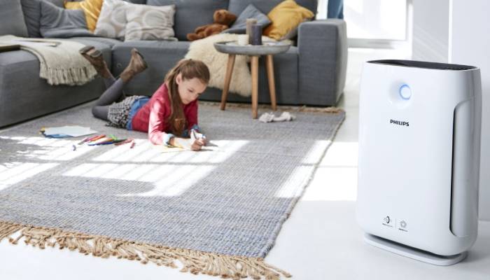 &Aacute;caros del polvo