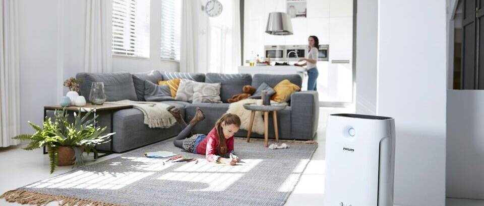 Al&eacute;rgenos en el hogar - &Aacute;caros del polvo