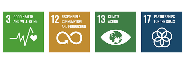 SDG icons