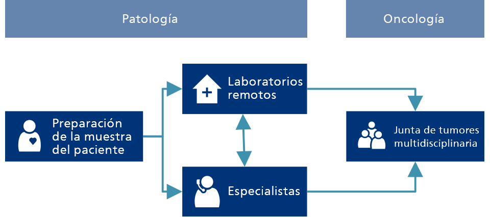 Programa de detecci&oacute;n