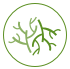 un logo verde y negro